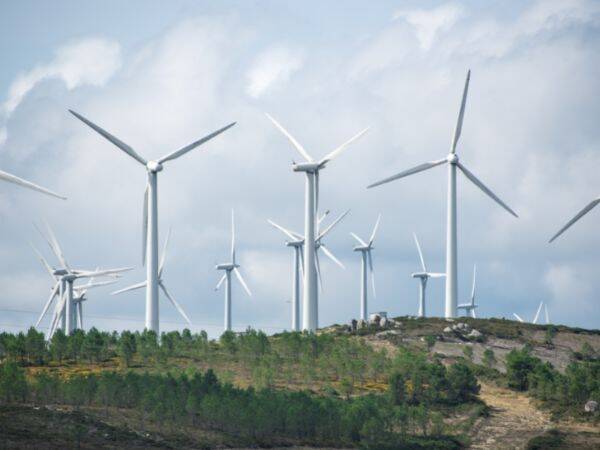 Energia wiatrowa - zielone i tanie rozwiązanie