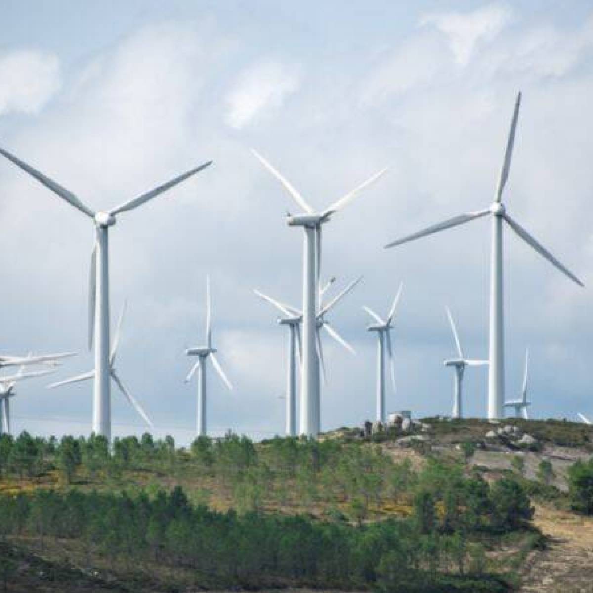 Energia wiatrowa - zielone i tanie rozwiązanie